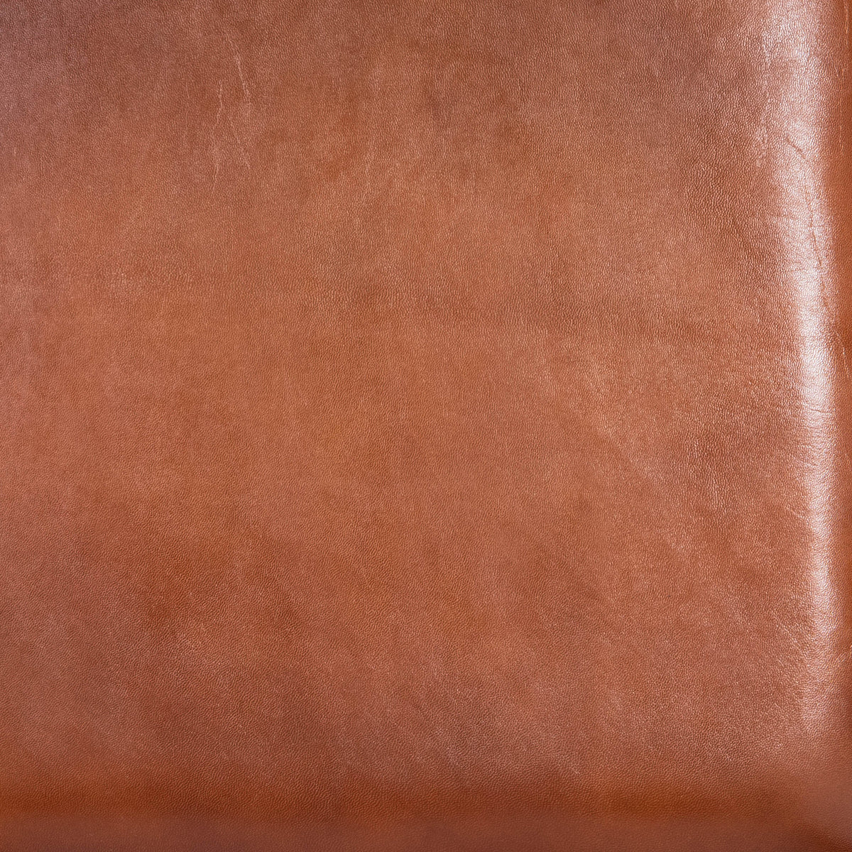 Butler Specialty Modern Industrial Style Rectangular Menium Brown Leather Metal Counter Stool Barstools Butler Specialty